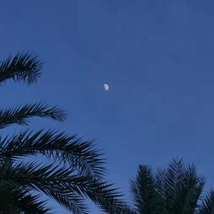 欧美精品丰满强奸轮奸xxxxx
