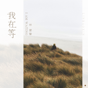 欧美精品丰满强奸轮奸xxxxx
